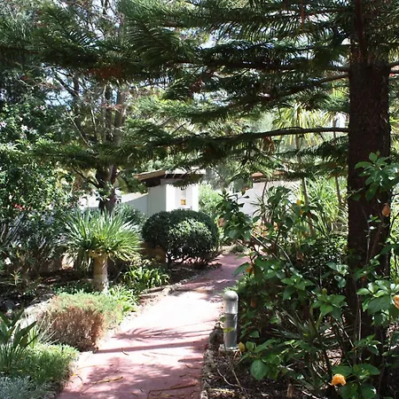 Monte Violeta Lejlighed